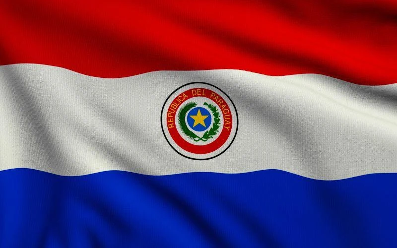 Bandera de Paraguay - Servicio técnico General Electric